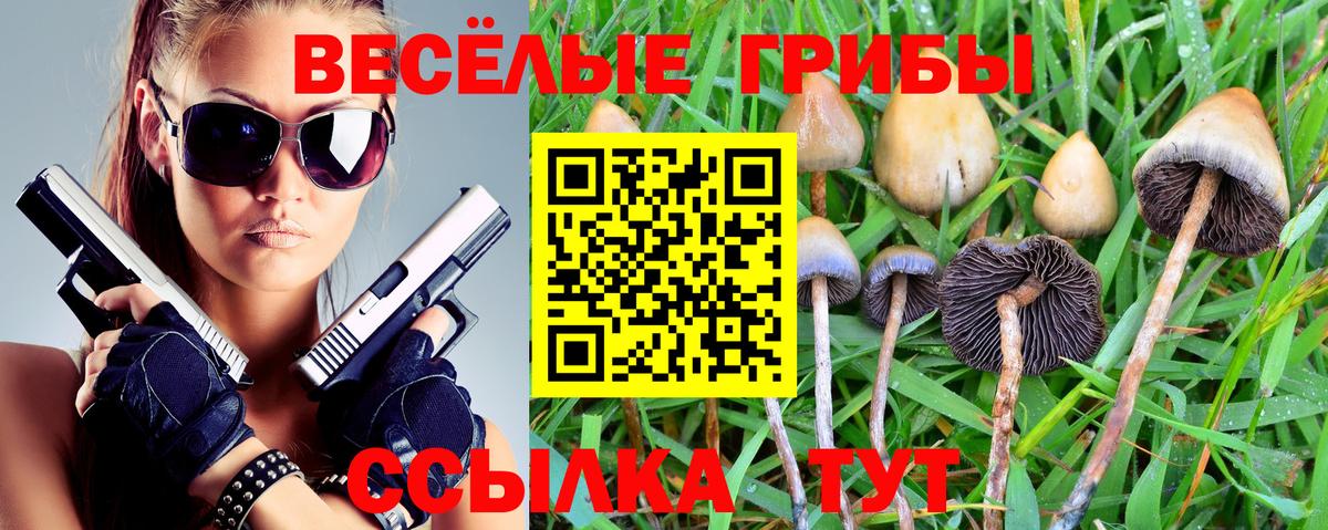 Псилоцибиновые грибы прущие грибы Североуральск