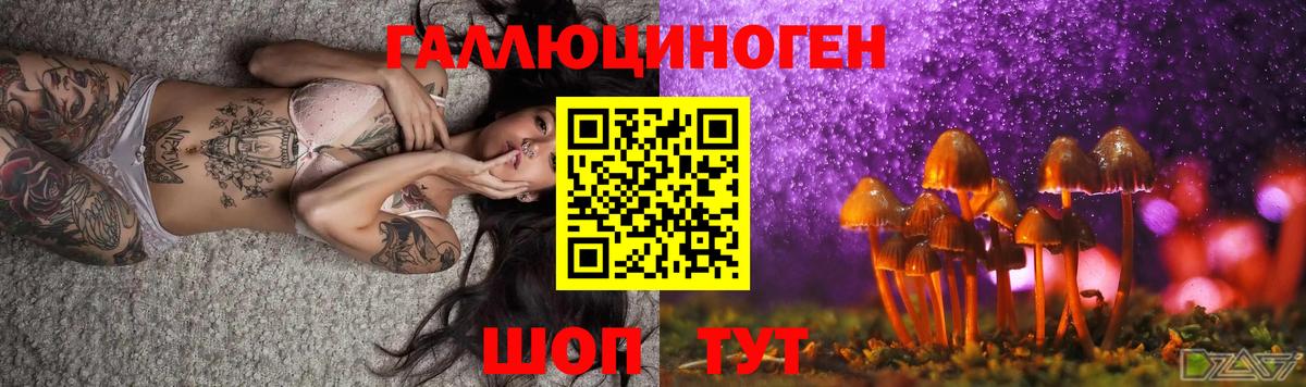 Галлюциногенные грибы мицелий  купить  сайты  Североуральск  Вход с VPN  Галлюциногенные грибы прущие грибы 